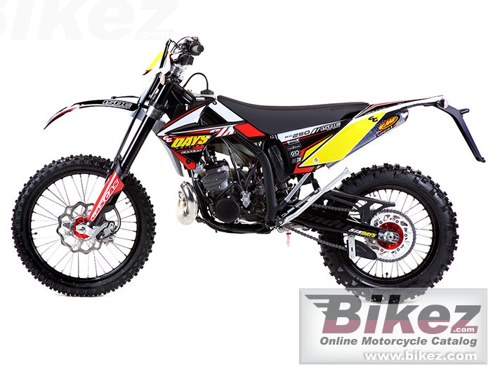 Big GAS GAS ec 250 2t six-days picture and wallpaper from Bikez.com